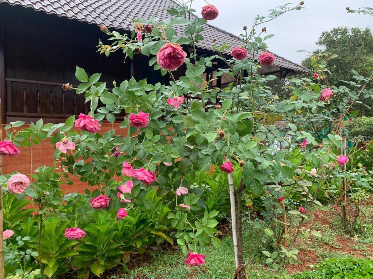 Phuong Nam Gia Trang Farmstay Gia Nghĩa Kültér fotó