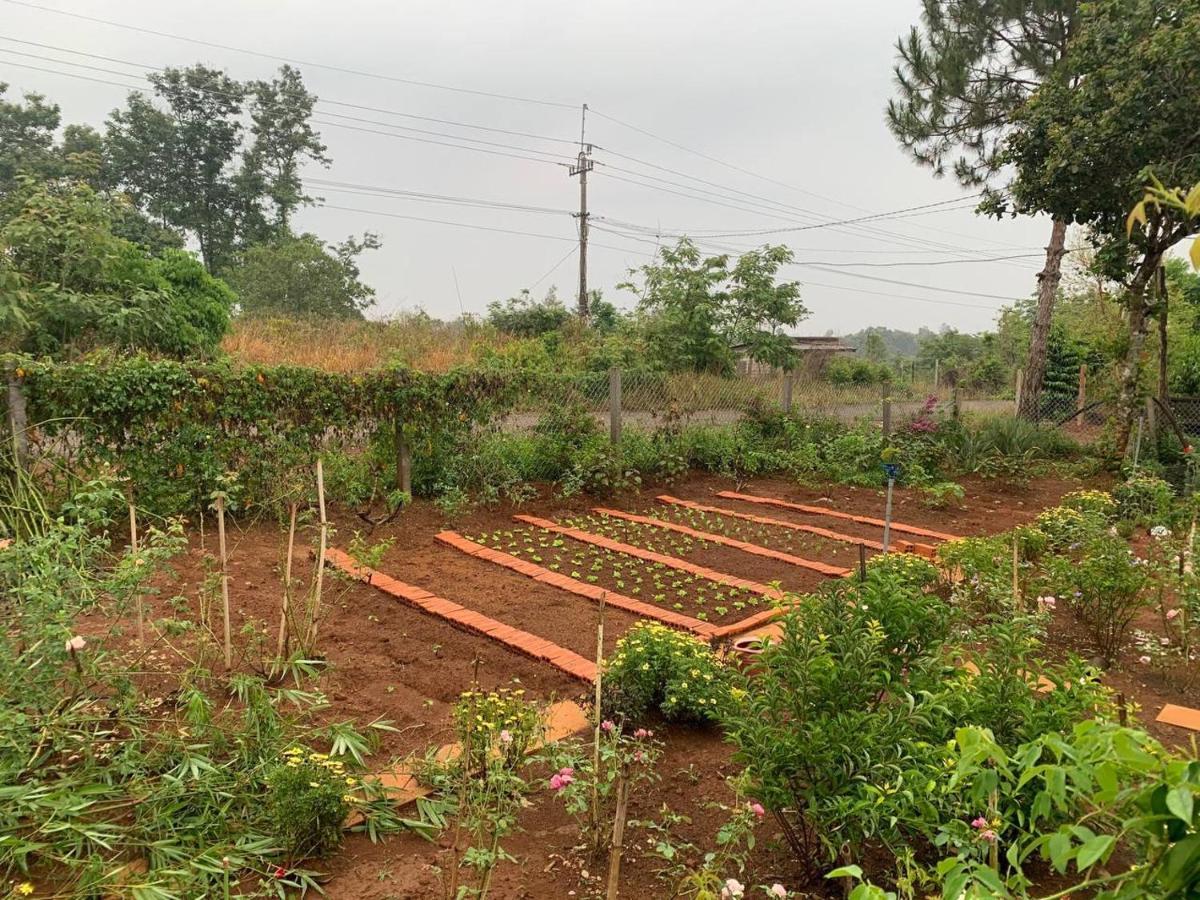 Phuong Nam Gia Trang Farmstay Gia Nghĩa Kültér fotó